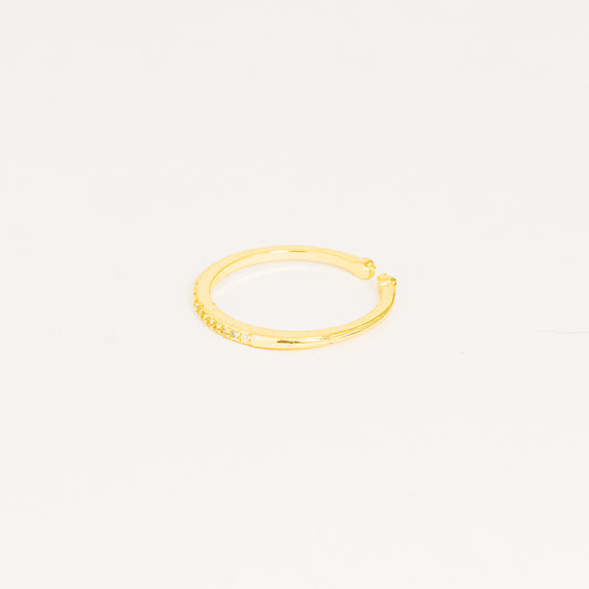 Anillo dorado y brillos