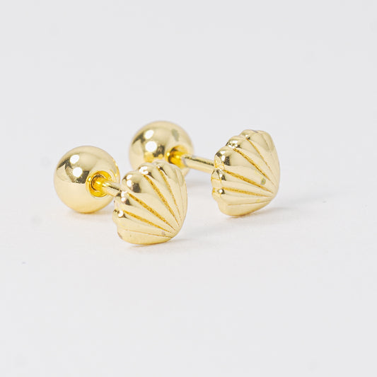 Topo dorado concha de mar